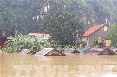 广平省：洪水造成经济损失超过4110亿越盾