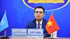 越南与联合国安理会：越南为安理会事务作出切实贡献